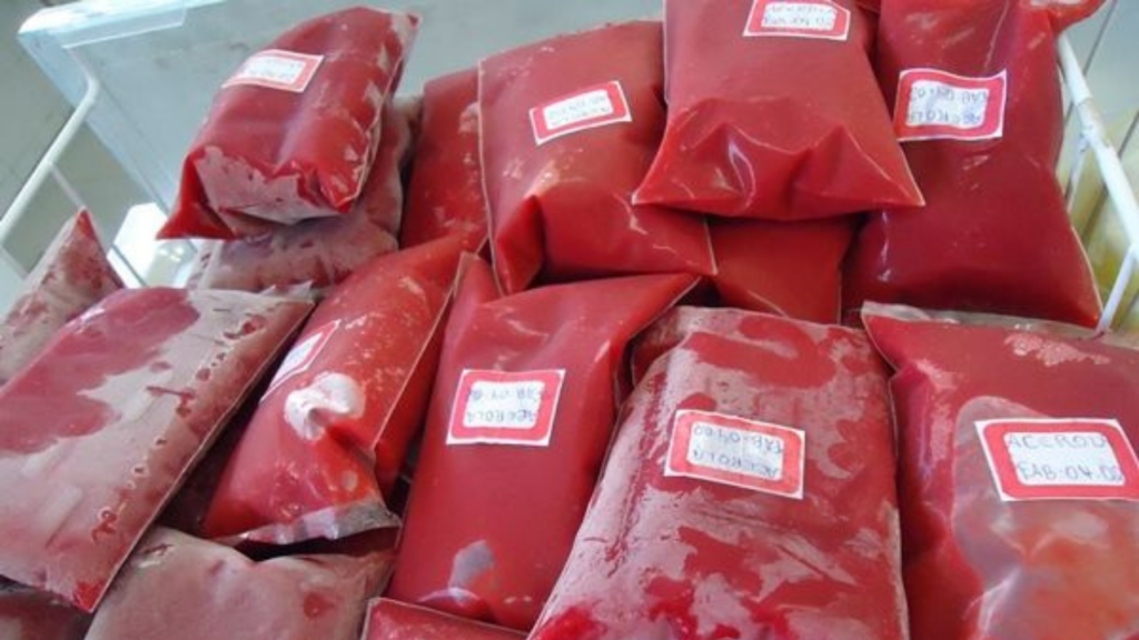 polpas de frutas mais vendidas