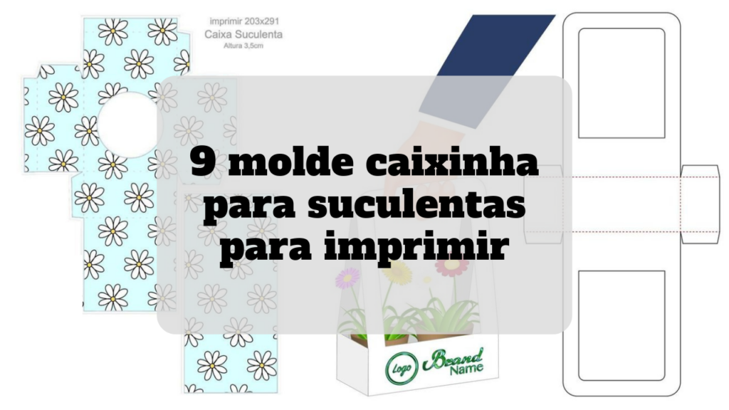 molde caixinha para suculentas para imprimir